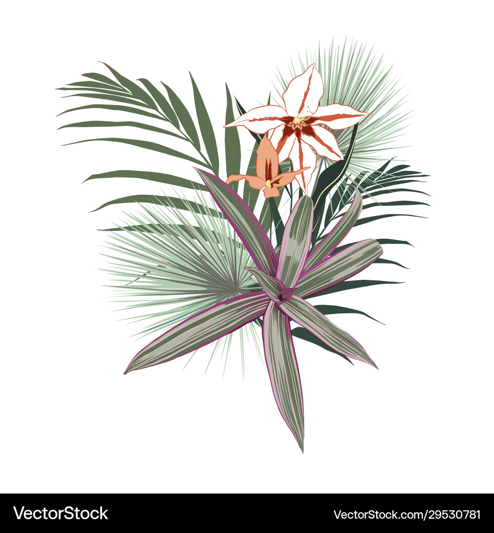 Tropical flowers palm leaves jungle leaf vector image