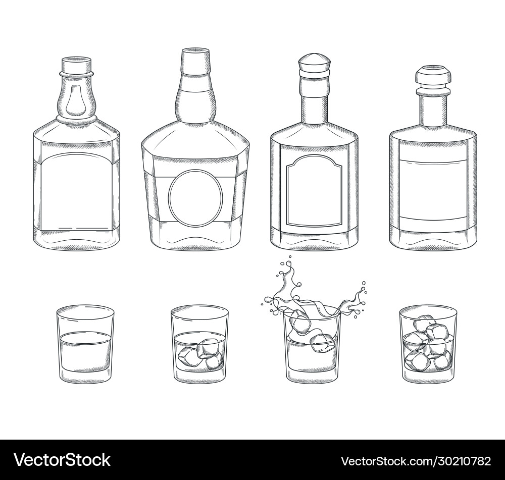 Set whiskey bottles and glasses with a drink vector image