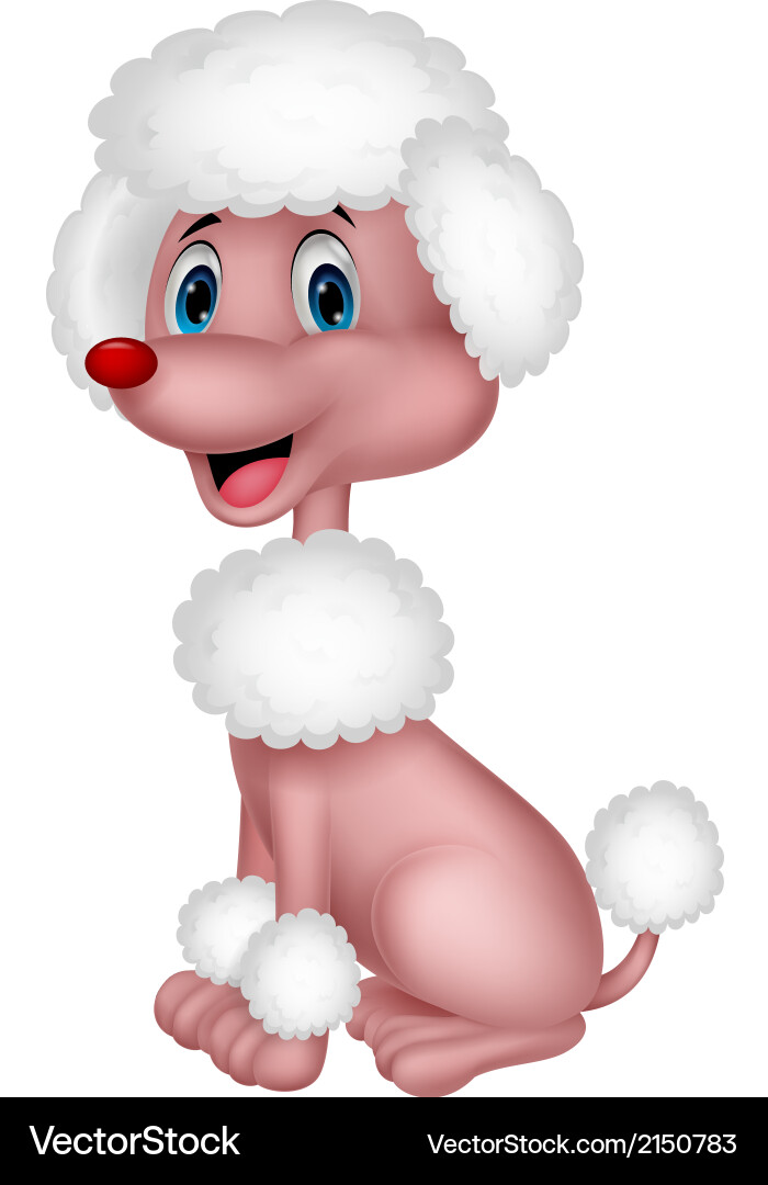 Cute poodle cartoon Royalty Free Vector Image - VectorStock