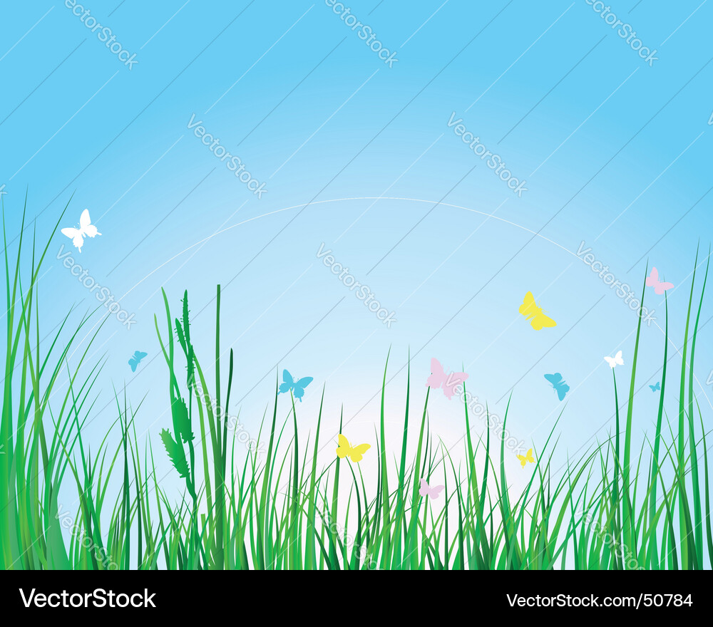 Grass background Royalty Free Vector Image - VectorStock
