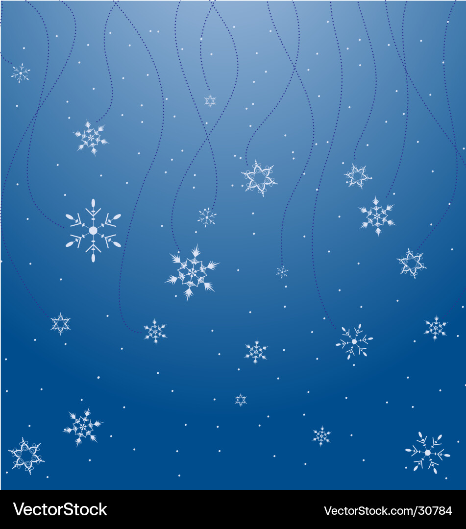 Winter Snowflake Scene vector image