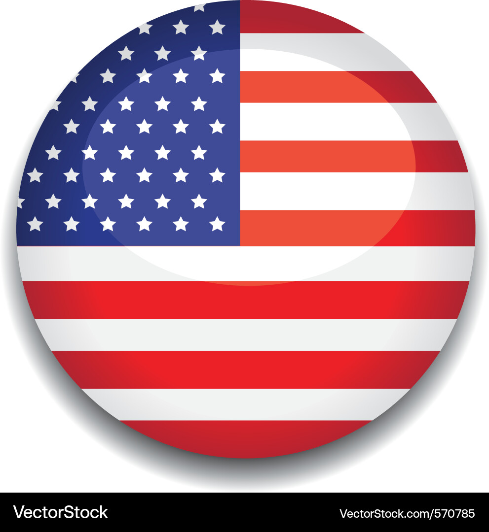 American Flag Button vector image