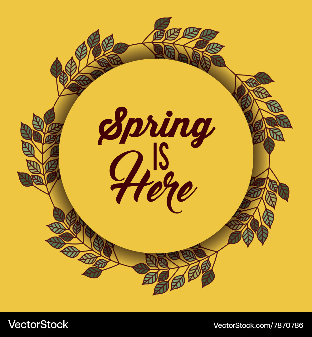 Hello spring design Vector Image
