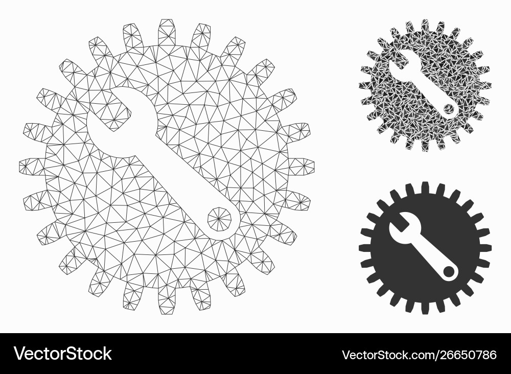 Service tools mesh 2d model and triangle Vector Image