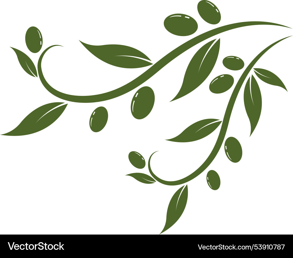 Olive logo template design Olive logo template design vector image