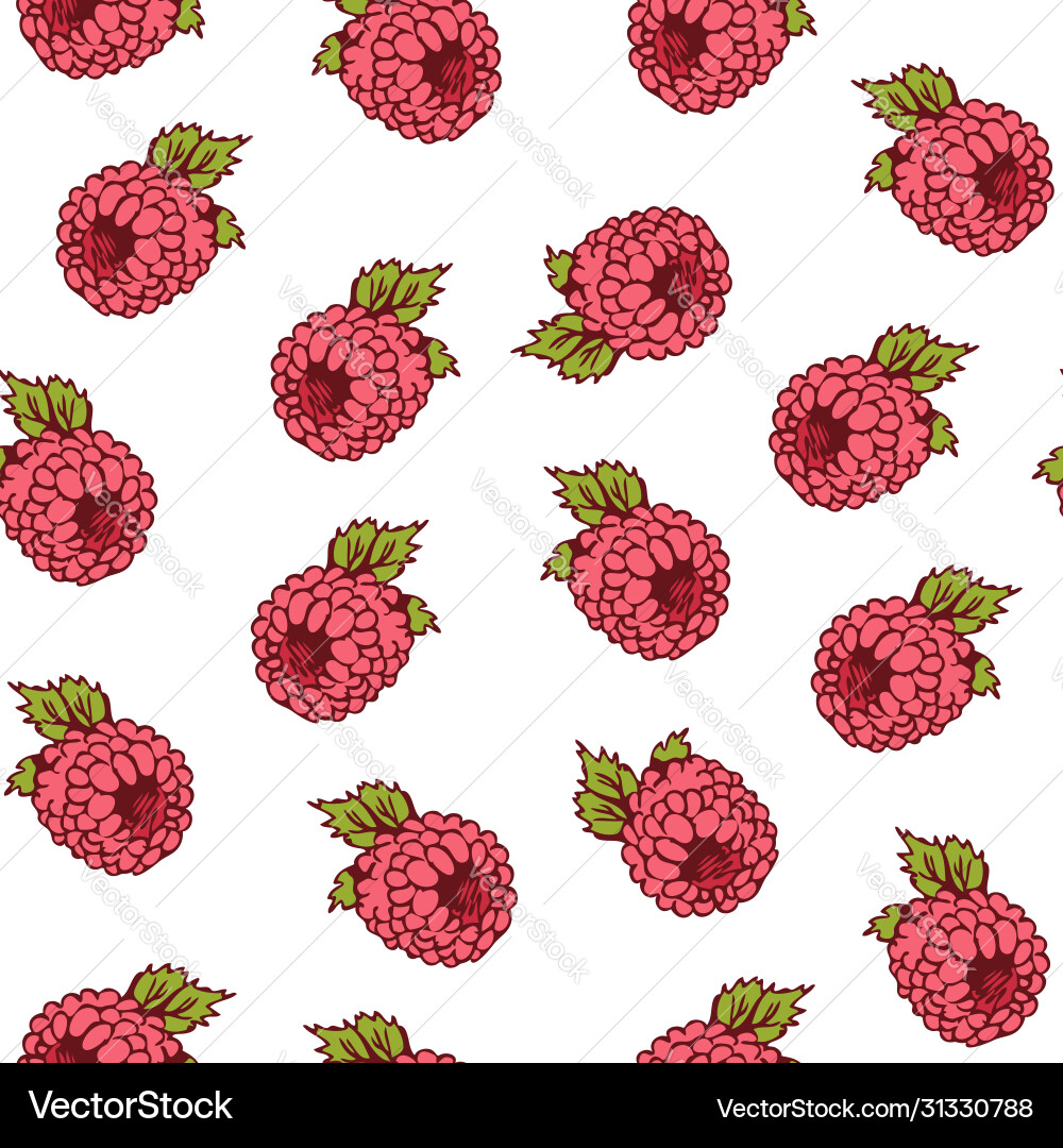 Raspberry seamless pattern colorful berry Vector Image