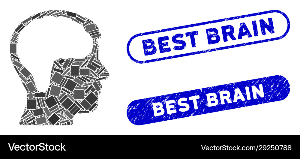 Rectangle mosaic brain with textured best Rectangle mosaic brain with textured best Vector Image