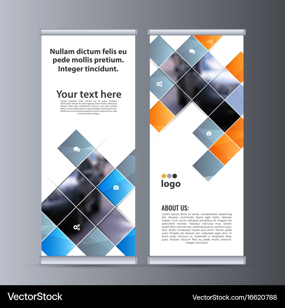 Roll up business banner design vertical template Vector Image