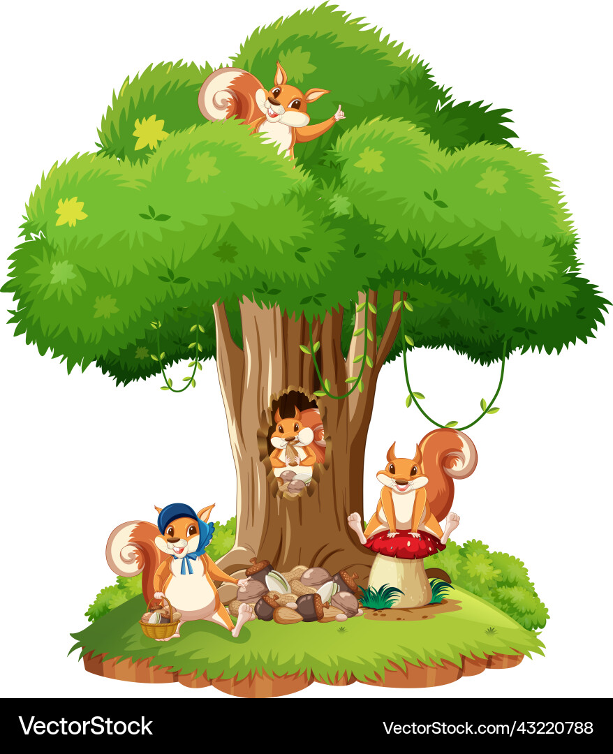 Scene with squirrels on the tree Vector Image