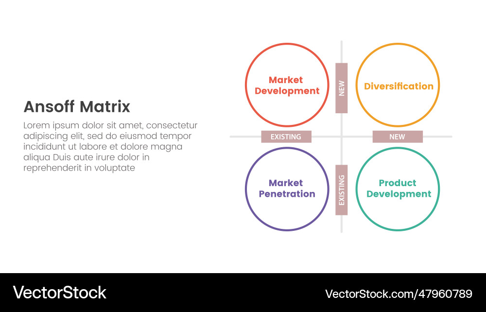 Ansoff matrix framework growth initiatives Vector Image