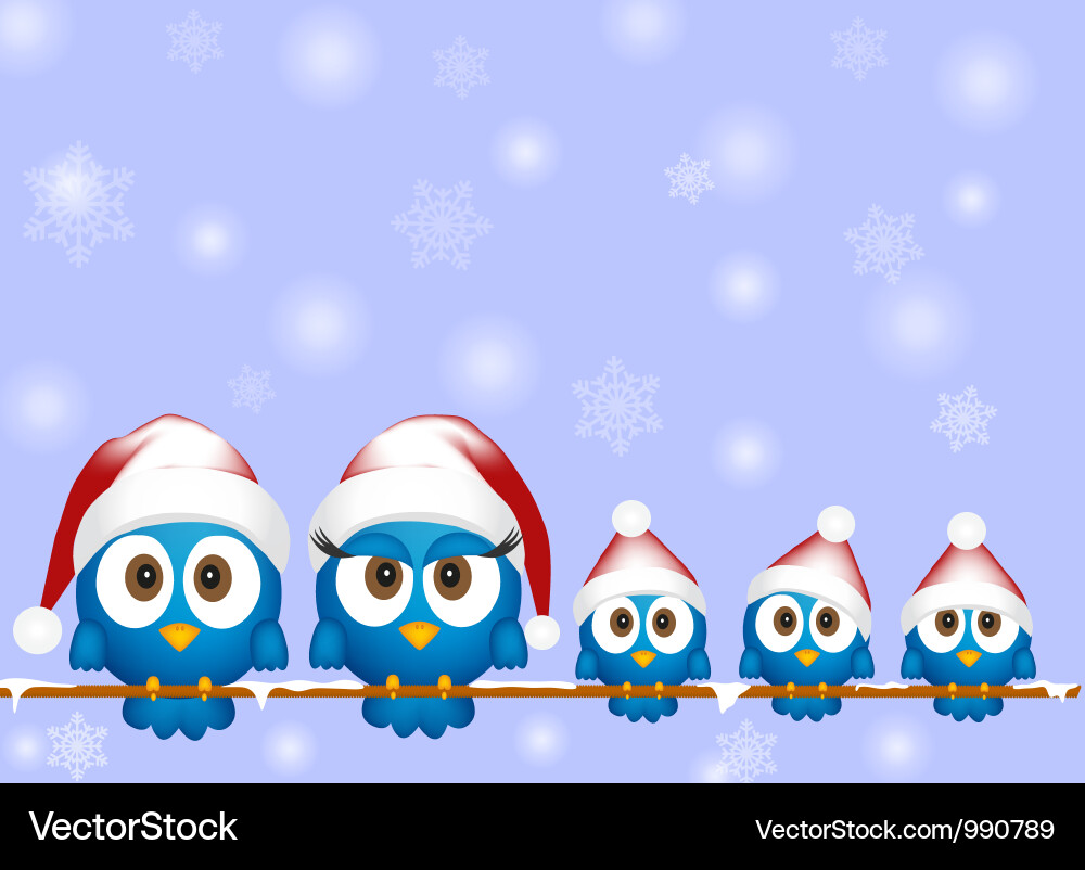 Cheerful Christmas Birds vector image