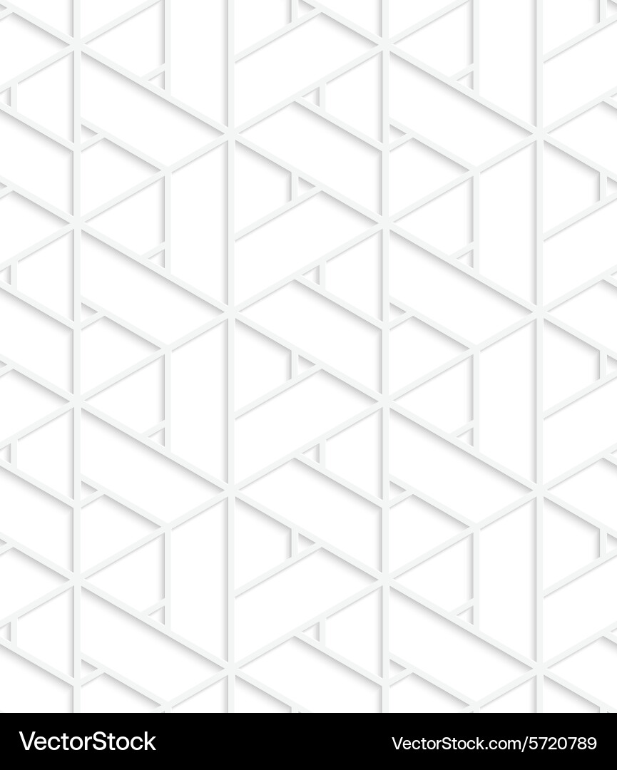 White 3d t triangular grid Vector Image