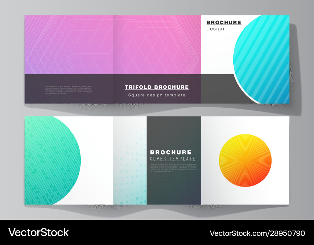 Minimal editable layout square Vector Image