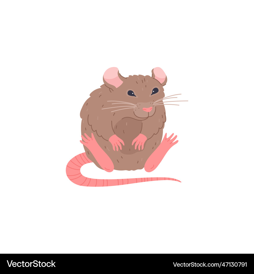 Cute sitting rat character cartoon flat Cute sitting rat character cartoon flat vector image