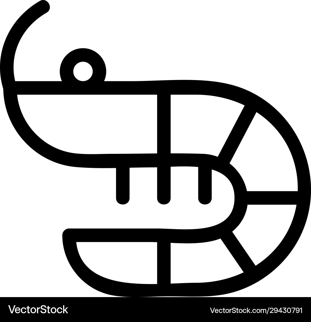 Shrimp icon isolated contour symbol Shrimp icon isolated contour symbol vector image