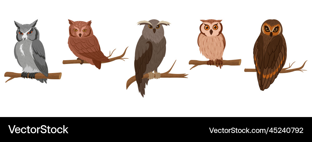 Cartoon owls sitting on branches wildlife birds Cartoon owls sitting on branches wildlife birds vector image
