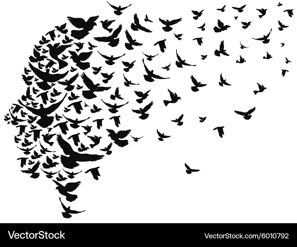 Doves Flying Away vector image