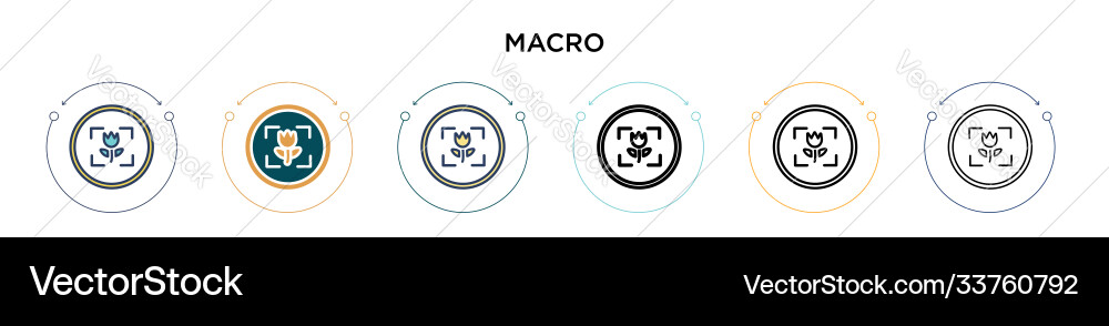Macro icon in filled thin line outline and stroke vector image