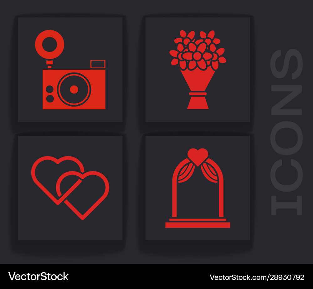 Set wedding arch photo camera bouquet flowers Set wedding arch photo camera bouquet flowers vector image