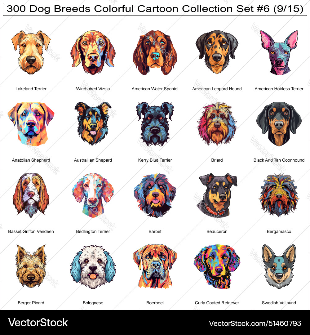 Bunte niedliche Hund Rassen Cartoon Zeichen Bunte niedliche Hund Rassen Cartoon Zeichen vektorbild