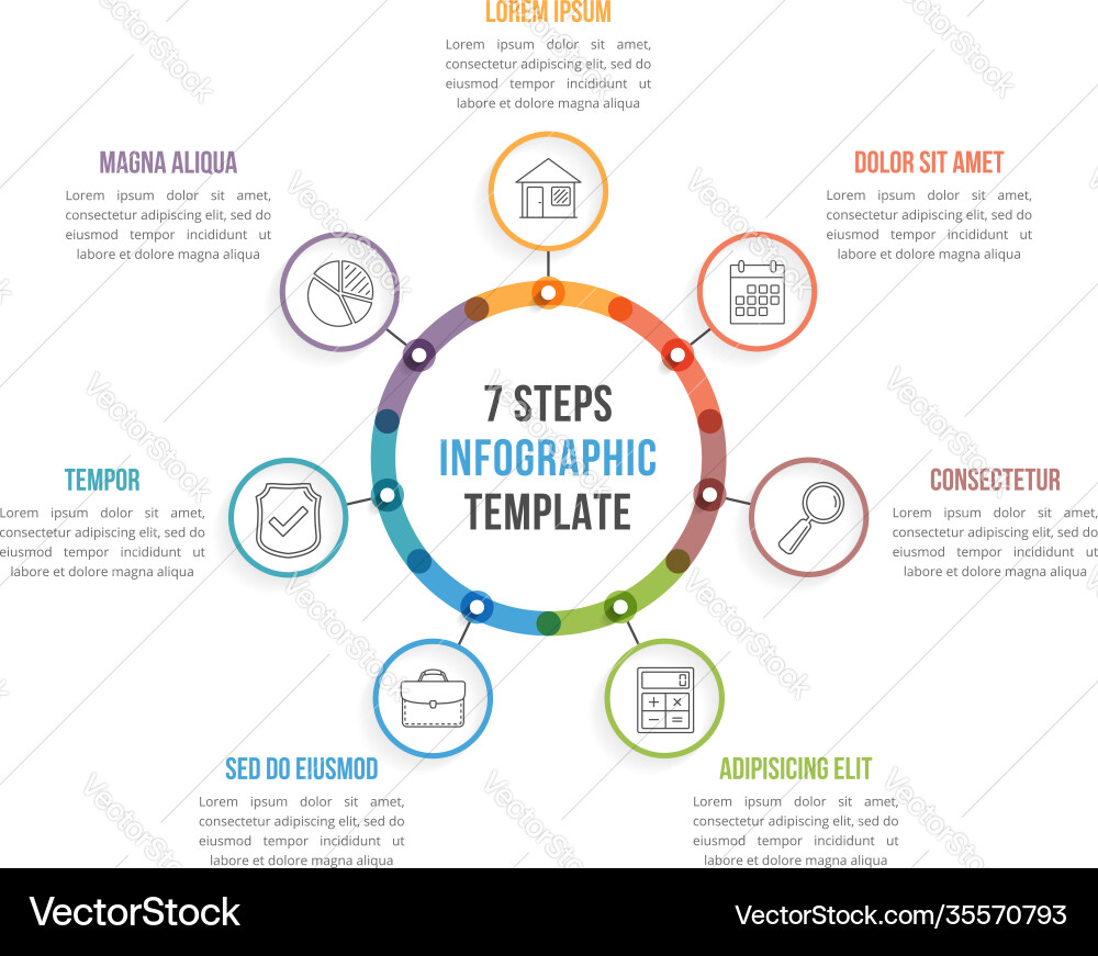 Circle infographics vector image