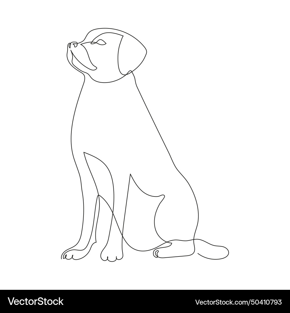 Dog labrador sitting one continuous line drawing vector image