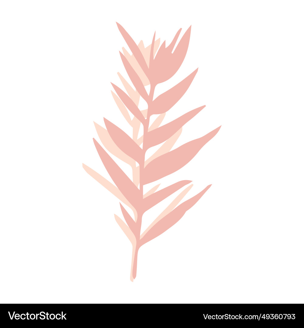 Midcentury modern whimsical floral graphic Midcentury modern whimsical floral graphic vector image