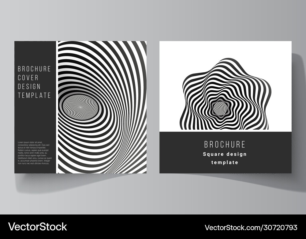 Minimal layout two square format Minimal layout two square format vector image