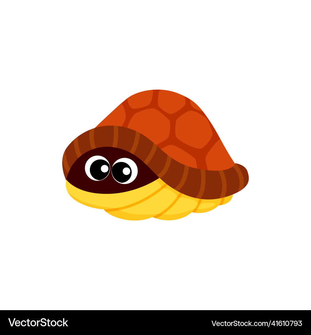 Scared Turtle in Shell vector image