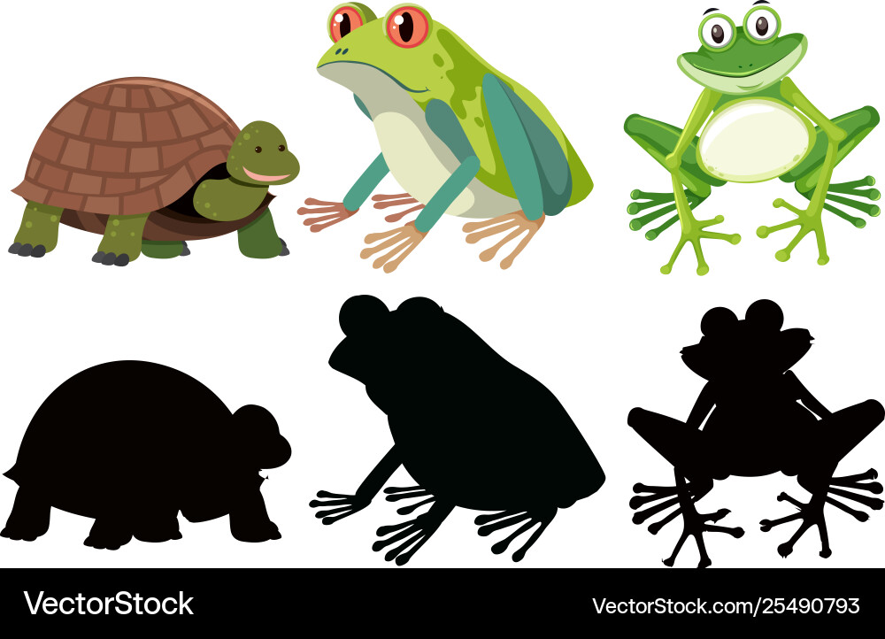 Turtle and Reptile Set vector image