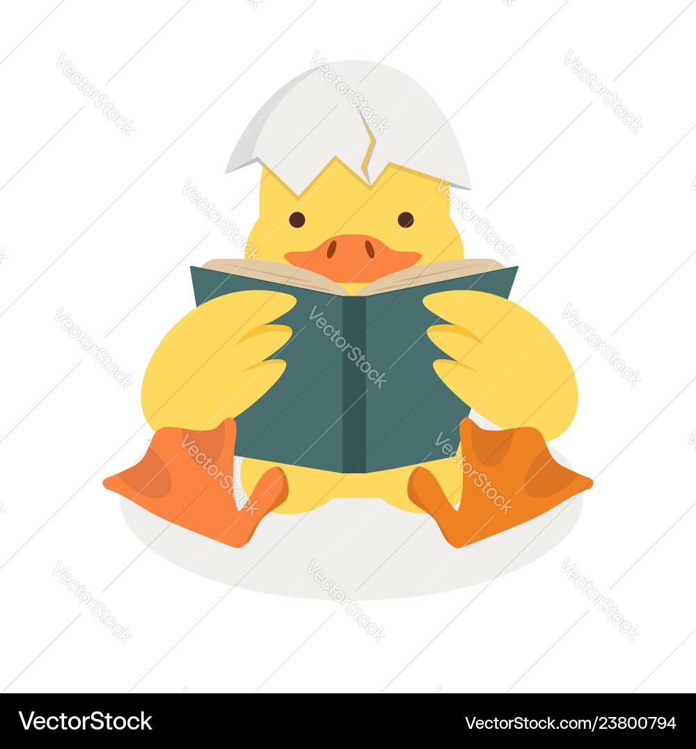 Duck reading a book with broken egg shell Duck reading a book with broken egg shell vector image