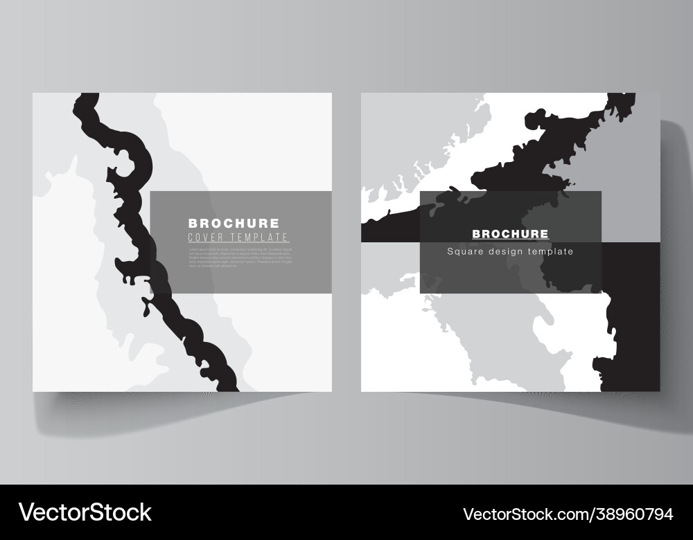 Layout two square format covers design Layout two square format covers design vector image