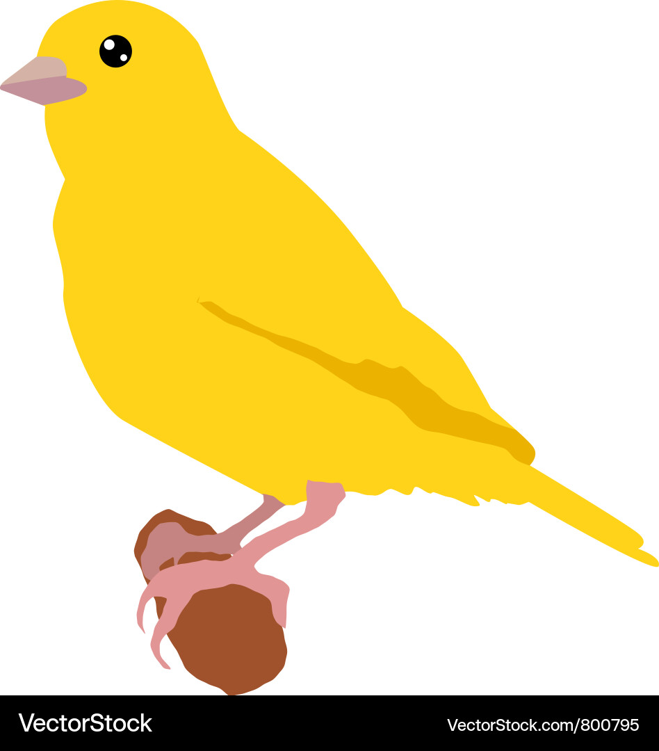 Cute Canary Bird vector image