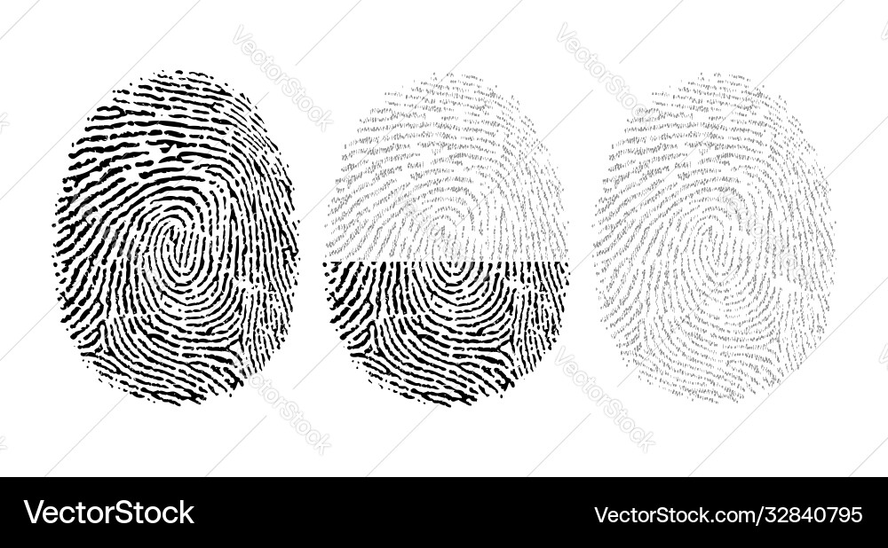 Fingerprint consisting binary code vector image