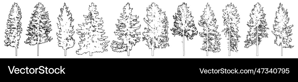 Set of fir trees for architecture and landscape Set of fir trees for architecture and landscape vector image