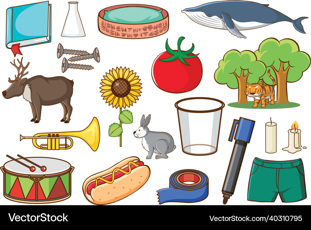 Set of various animals and objects Set of various animals and objects vector image