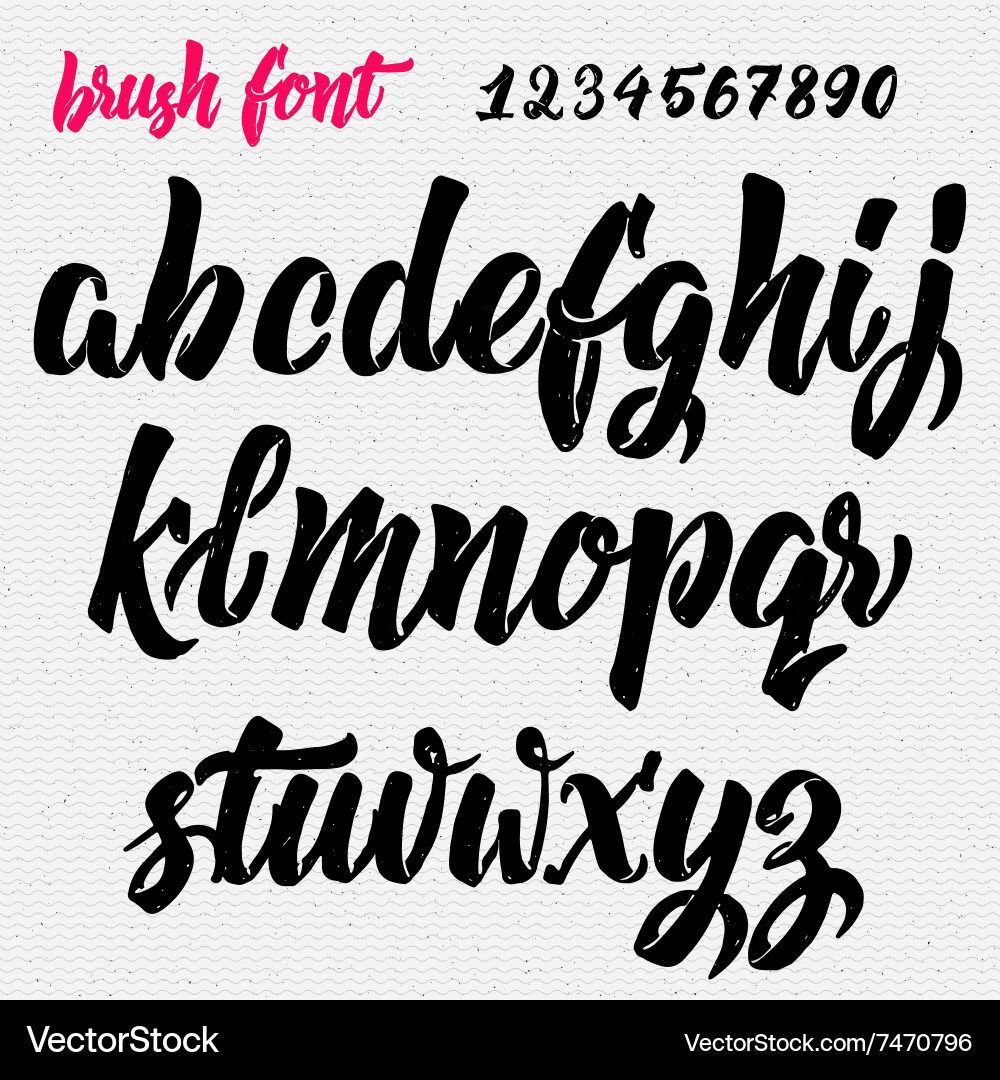 Calligraphic Brush Script Font vector image