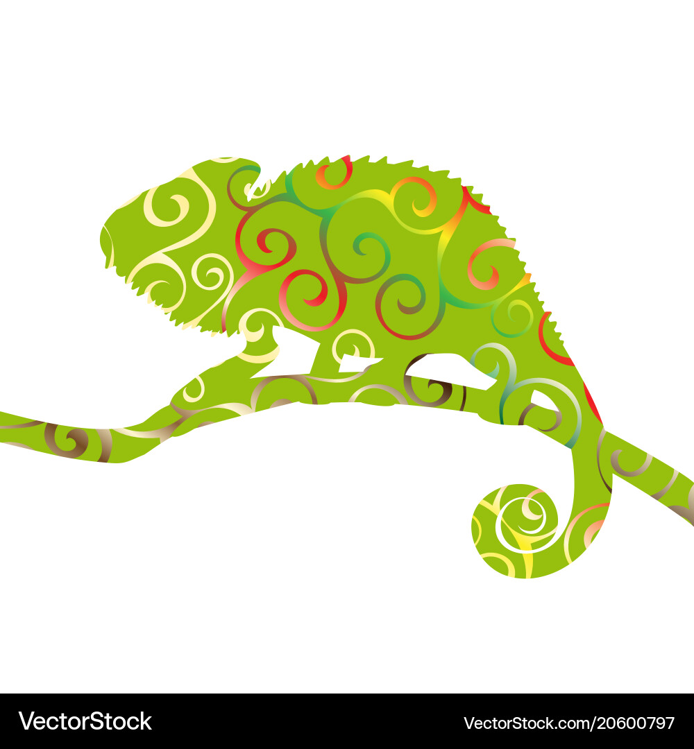Chameleon lizard reptile spiral pattern color Vector Image