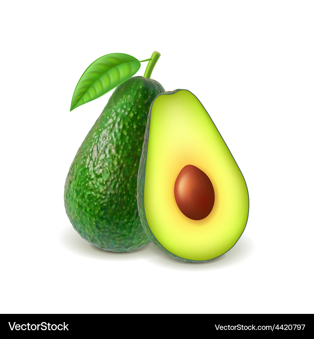 Isolated Avocado Slice on White Background vector image