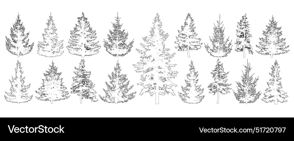 Set of fir trees for architecture and landscape Set of fir trees for architecture and landscape Vector Image