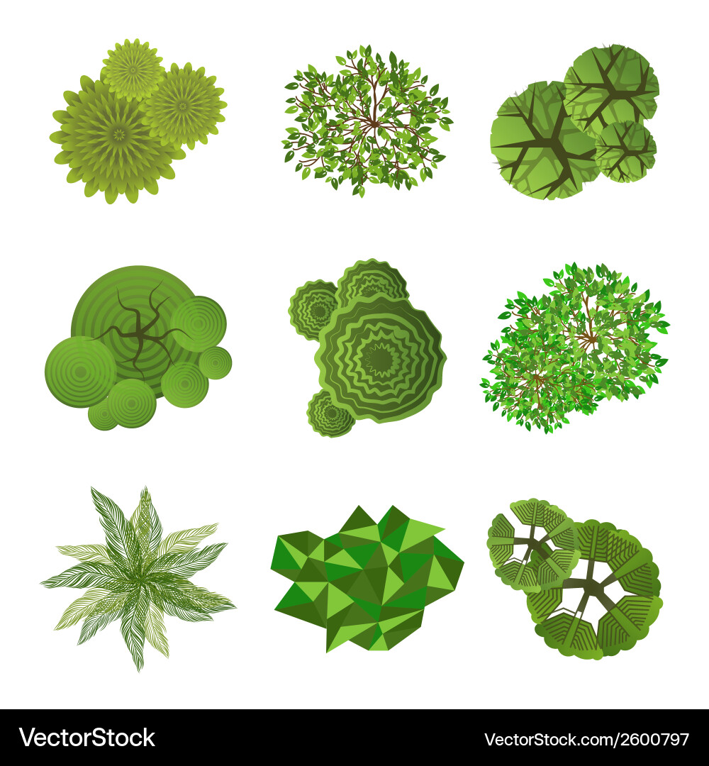 Top View Tree Collection vector image
