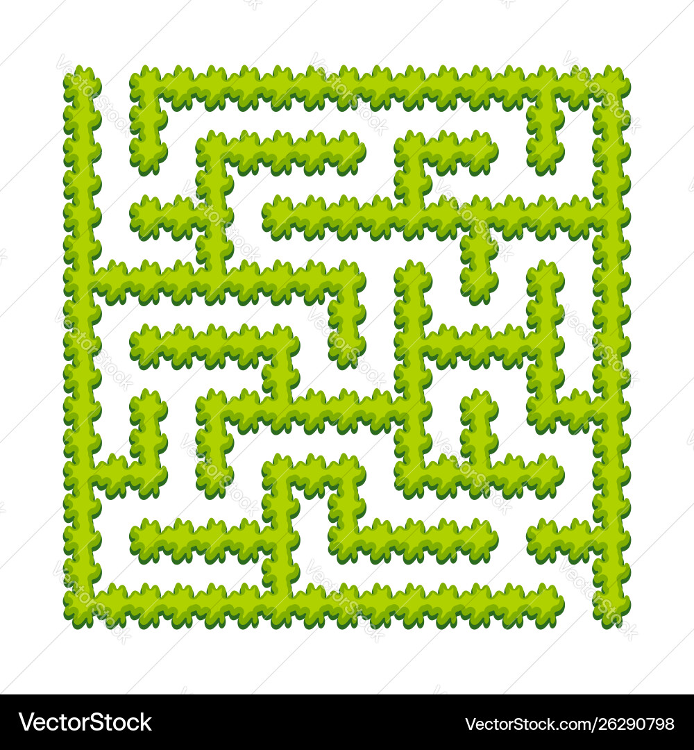 Abstract square labyrinth - green garden shrubs Vector Image