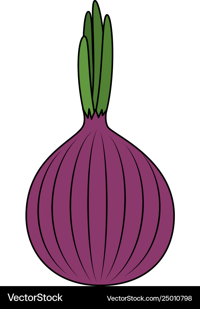Frische Zwiebel vegetarische Lebensmittel Frische Zwiebel vegetarische Lebensmittel vektorbild