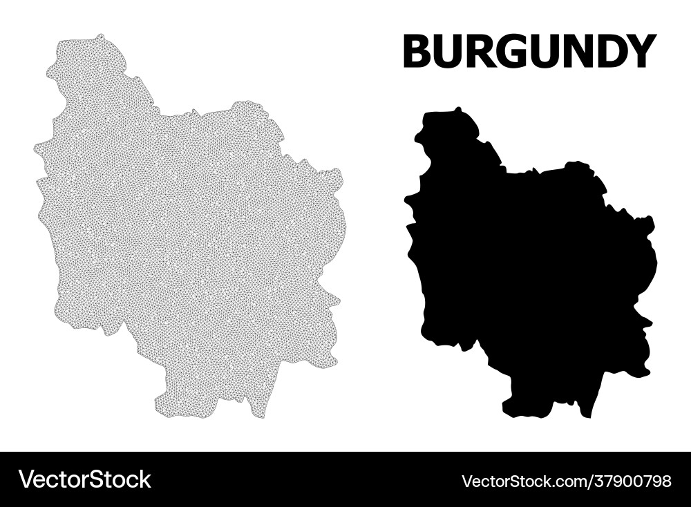 Polygonal network mesh high resolution map Polygonal network mesh high resolution map Vector Image