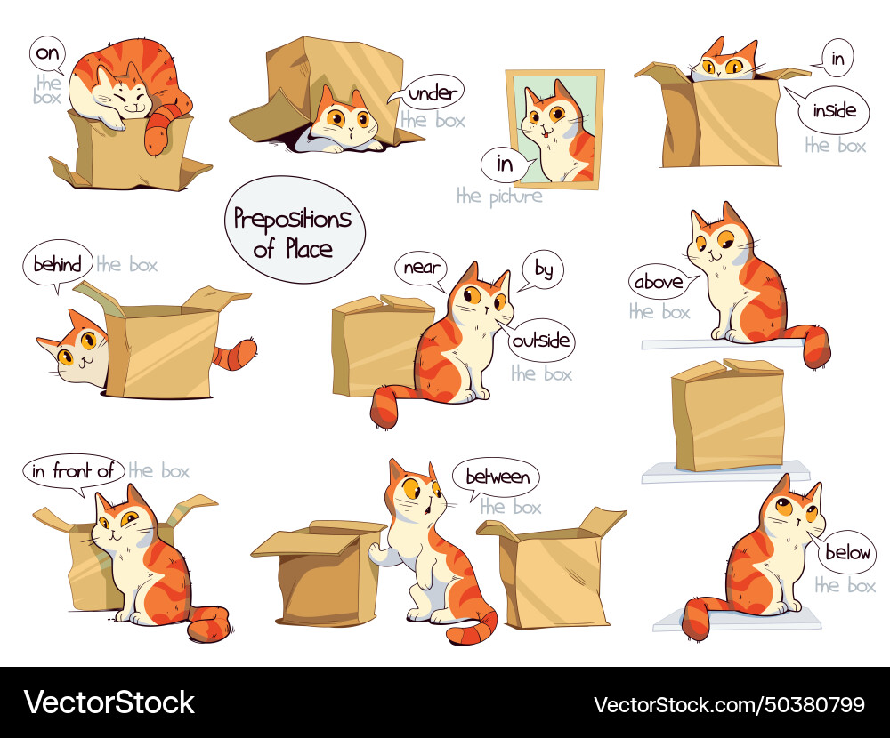 Prepositions of Place - Cat & Box Vector Image