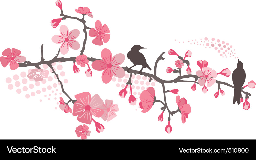 Beautiful Cherry Blossom Tree vector image