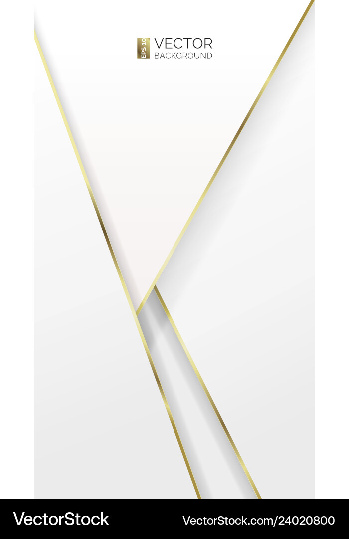 Overlapping Geometric Layers vector image