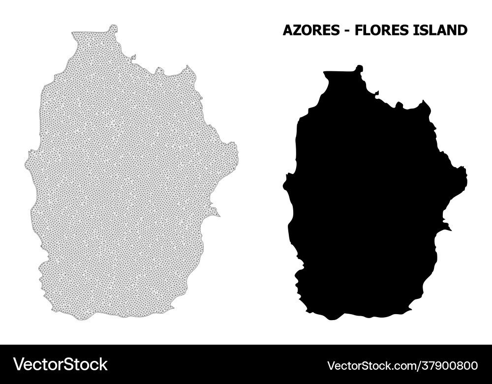 Polygonal 2d mesh high resolution map Polygonal 2d mesh high resolution map Vector Image