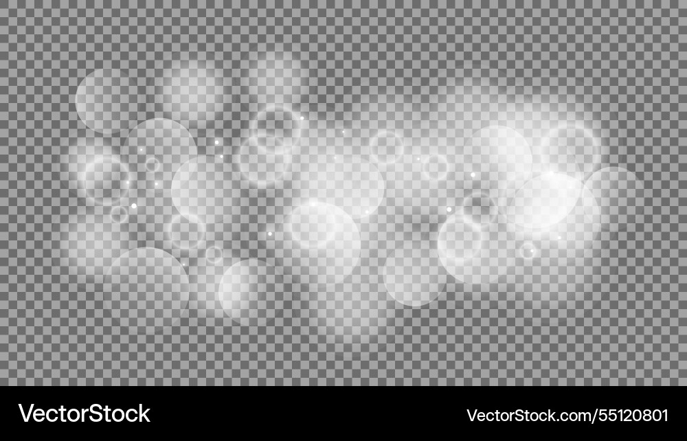 Bokeh circles on transparent background Bokeh circles on transparent background vector image