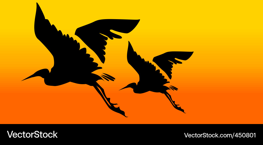 Cranes in Flight Silhouette Vector Image
